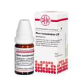 RHUS TOXICODENDRON C 200 Globuli