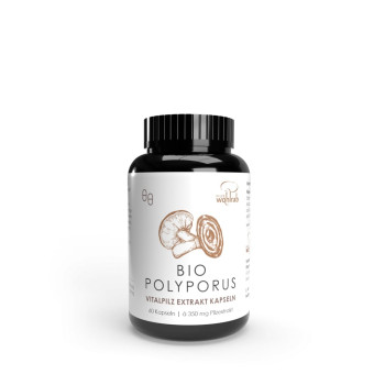 POLYPORUS BIO Extrakt Kapseln
